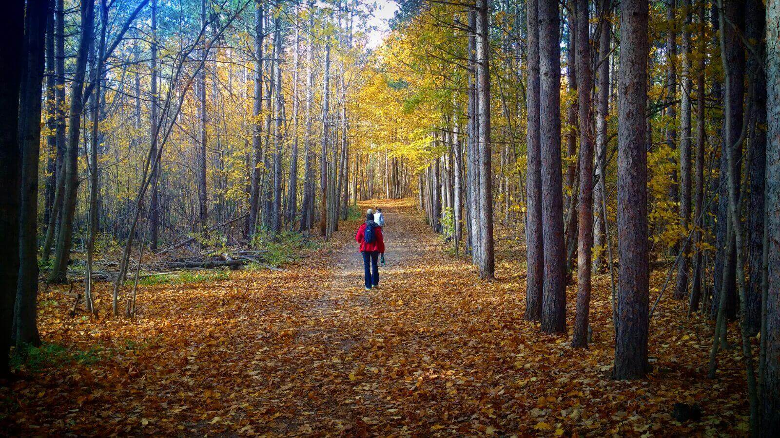 Des idées pour vous simplifier la vie